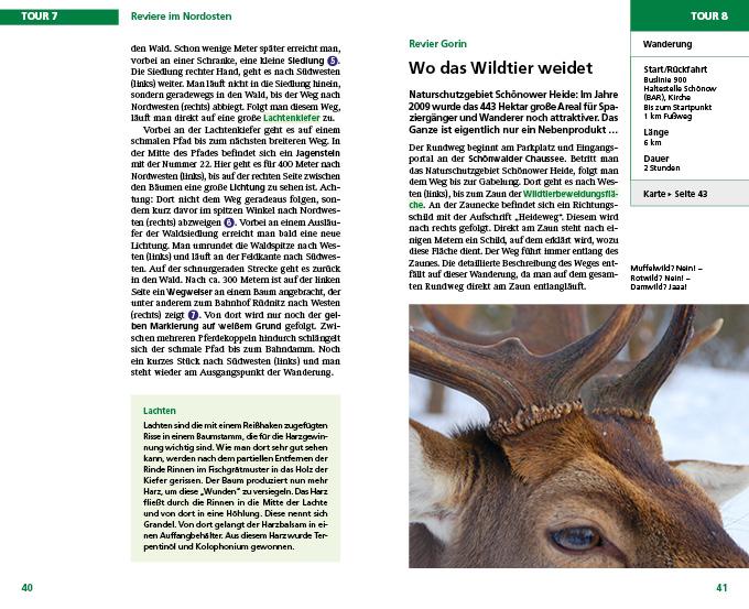 Beispielinhalt (Bild) Auf Försters Wegen