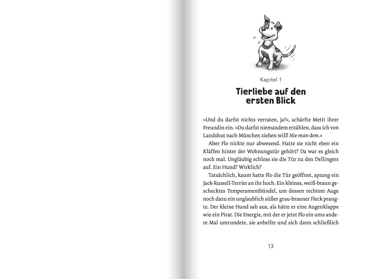 Beispielinhalt (Bild) Die Isar-Detektive 2. Verdacht im Tierheim