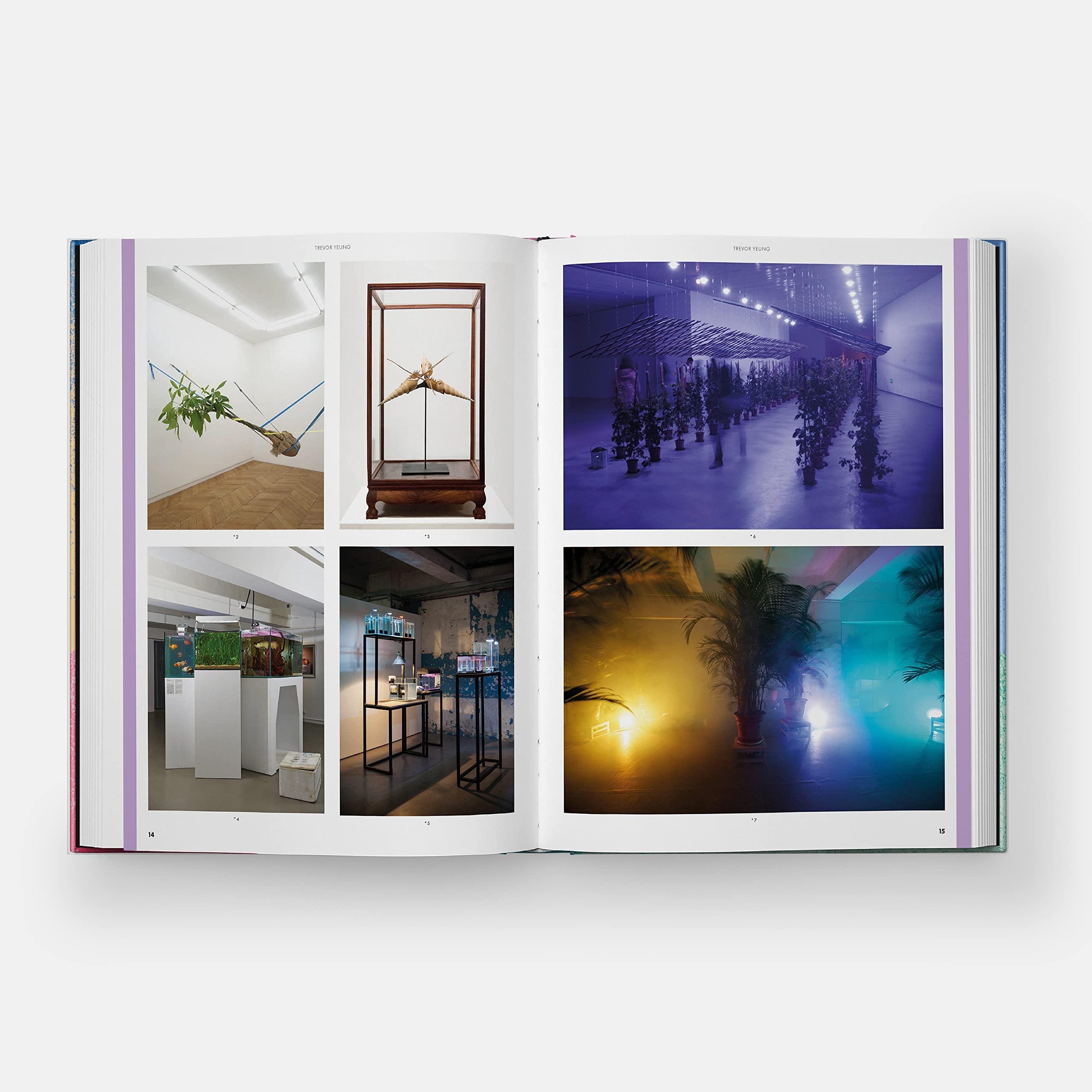 Beispielinhalt (Bild) Prime