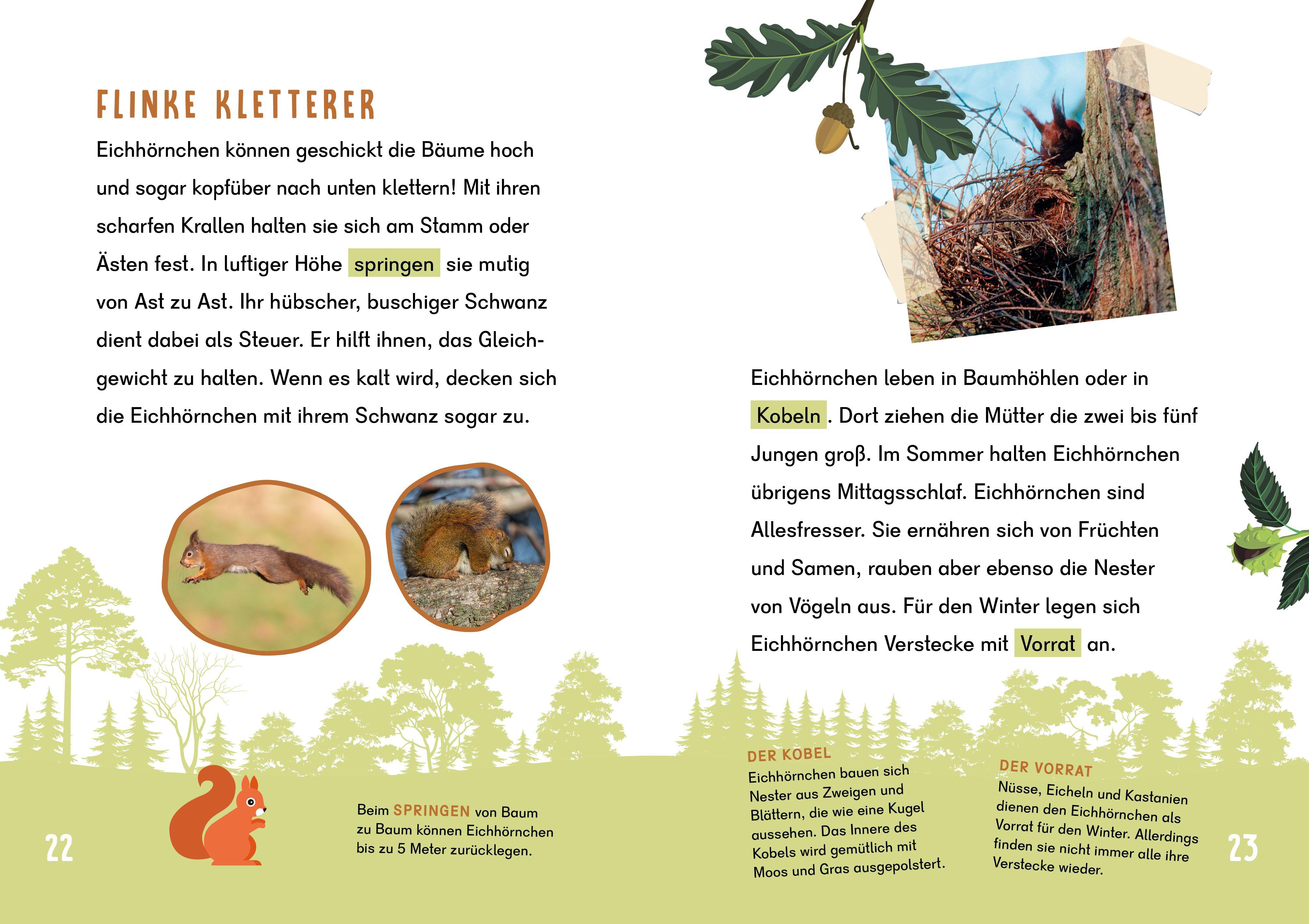 Beispielinhalt (Bild) Dein Lesestart - Wald