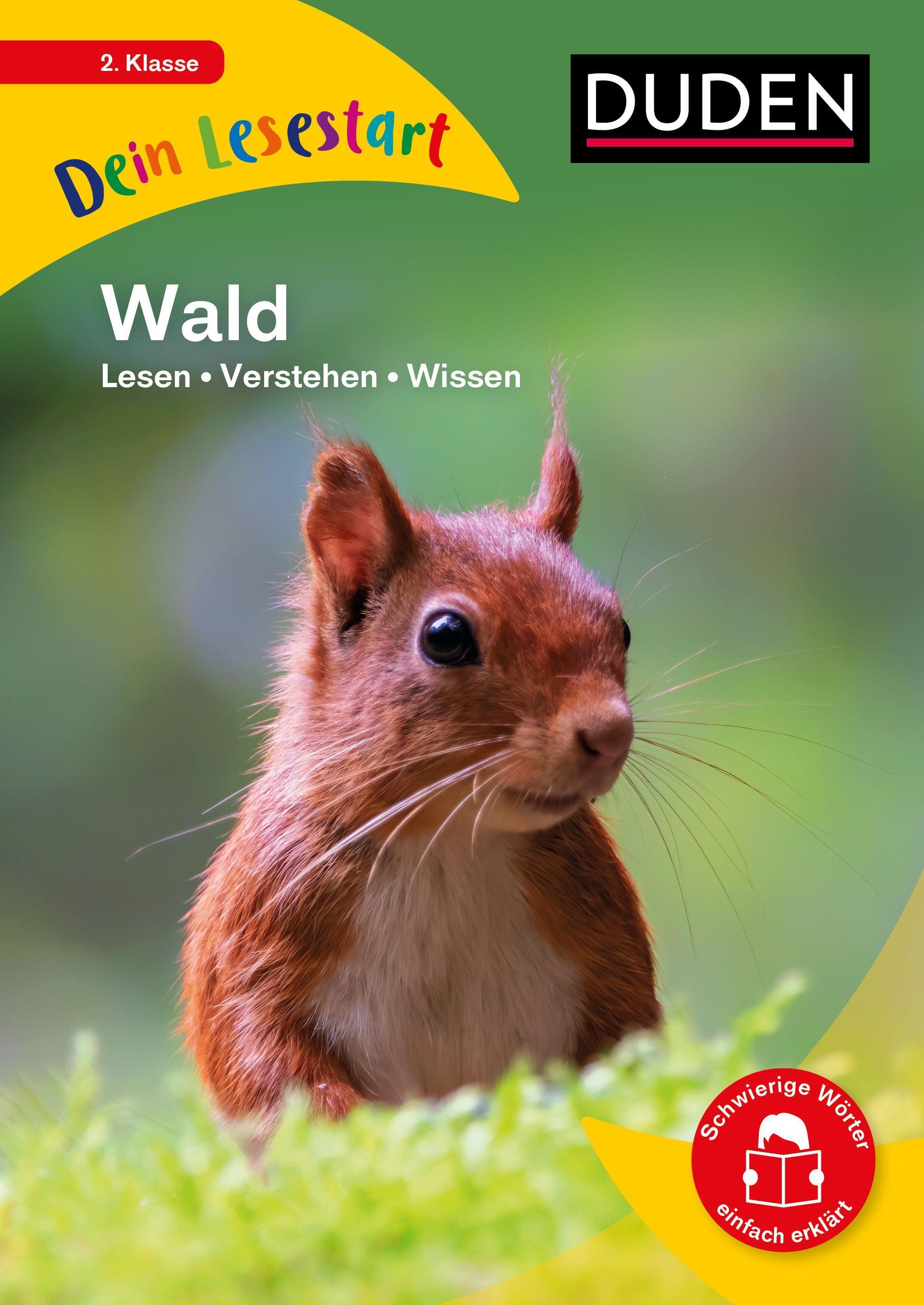 Vorderes Coverbild Dein Lesestart - Wald