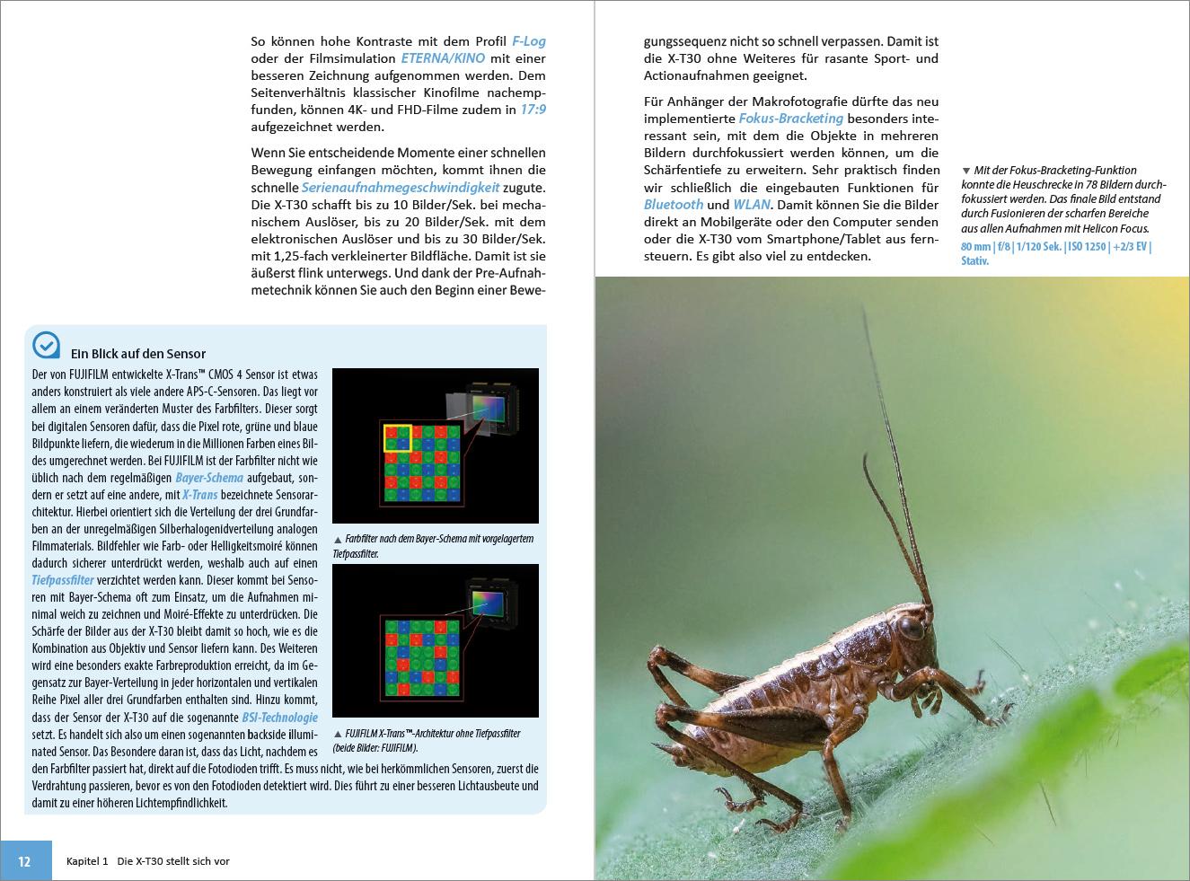 Beispielinhalt (Bild) Fujifilm X-T30 & X-T30 II