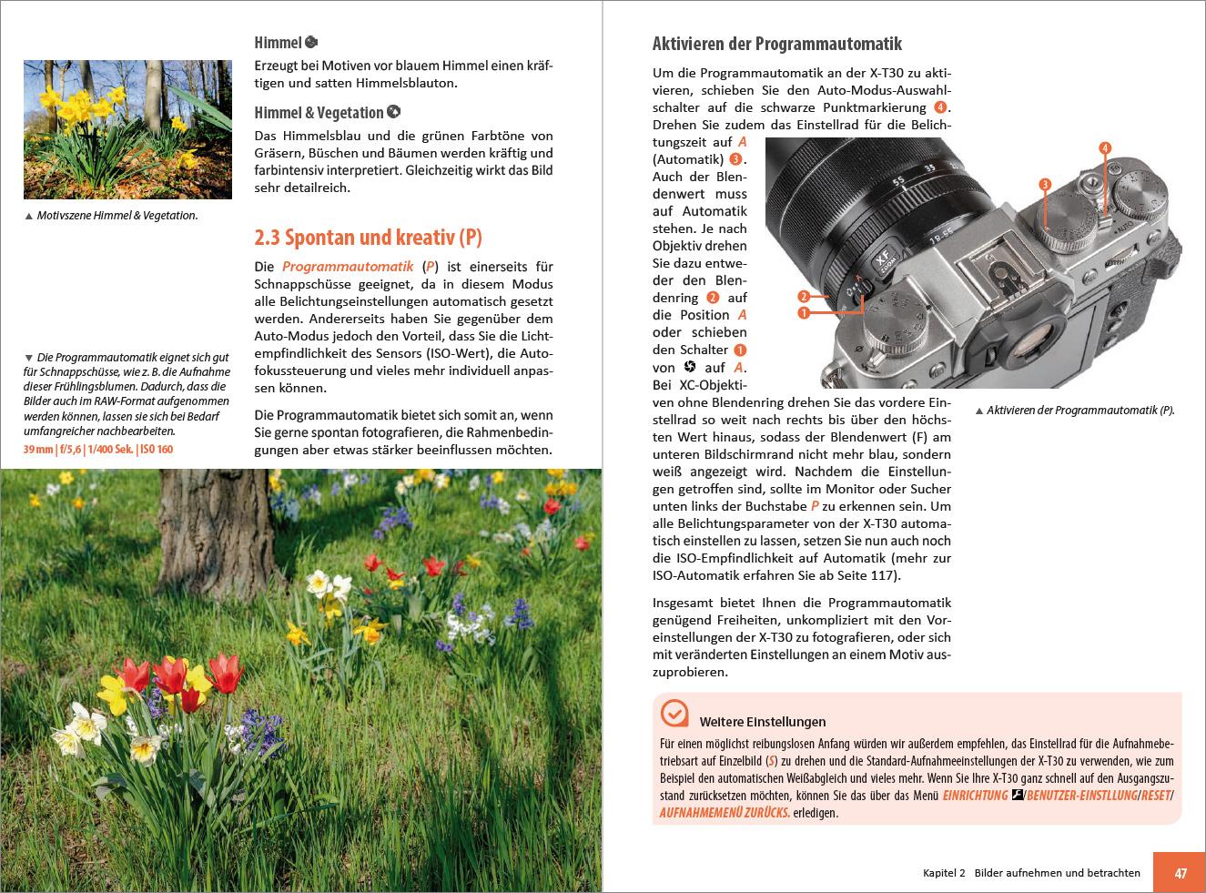 Beispielinhalt (Bild) Fujifilm X-T30 & X-T30 II