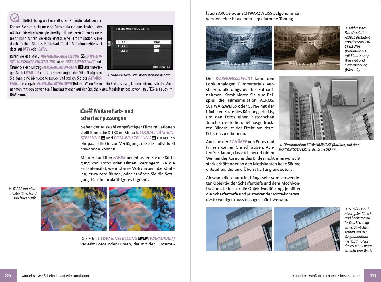 Beispielinhalt (Bild) Fujifilm X-T30 & X-T30 II