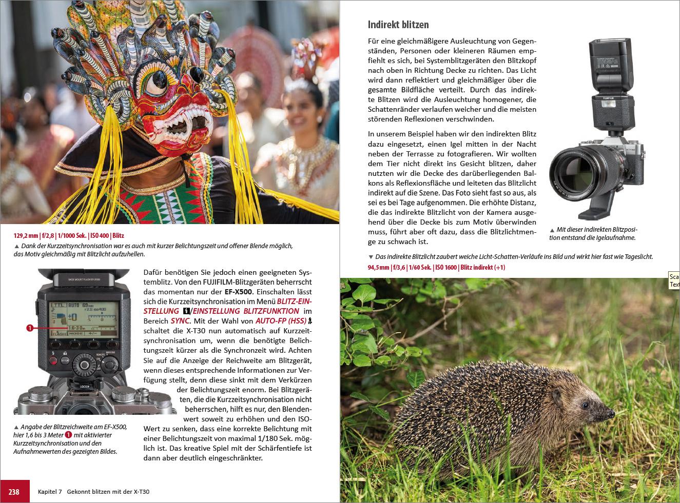 Beispielinhalt (Bild) Fujifilm X-T30 & X-T30 II