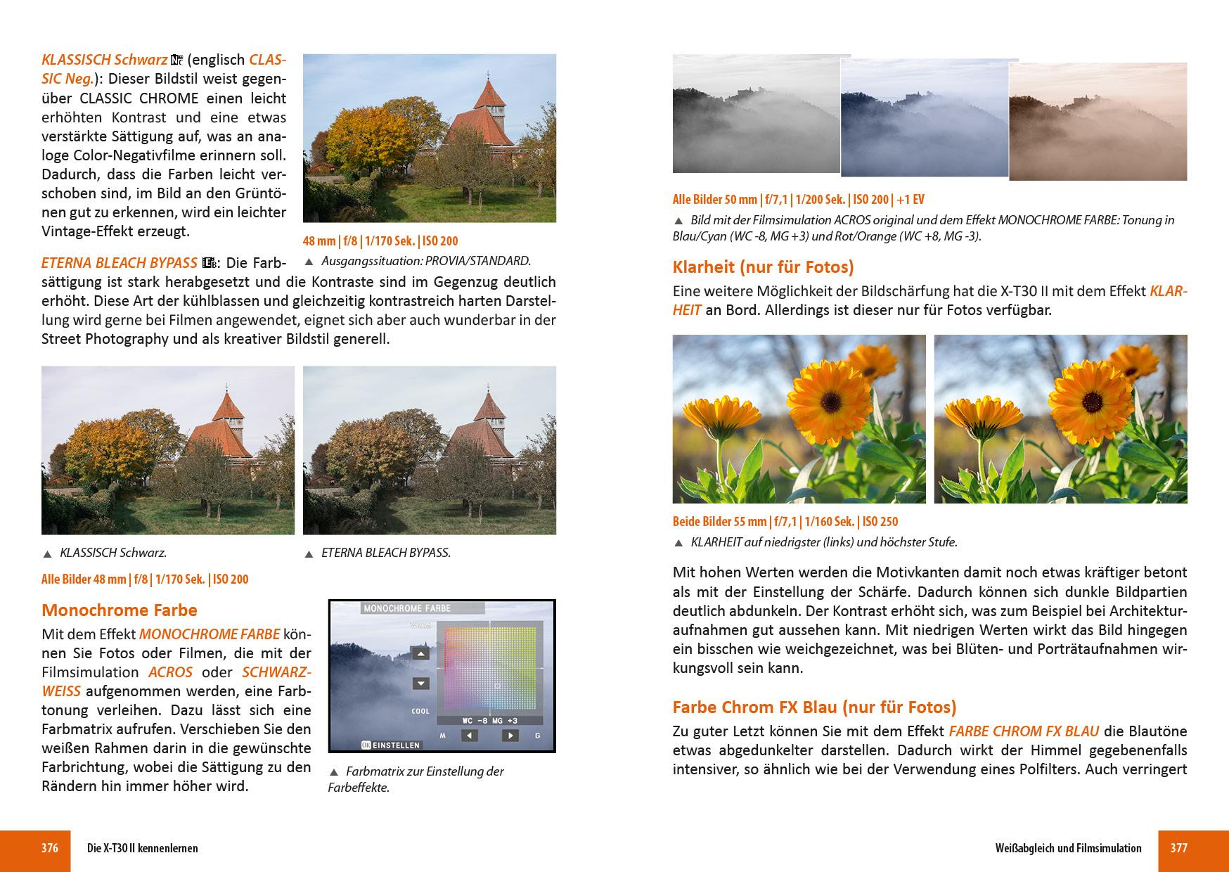 Beispielinhalt (Bild) Fujifilm X-T30 & X-T30 II