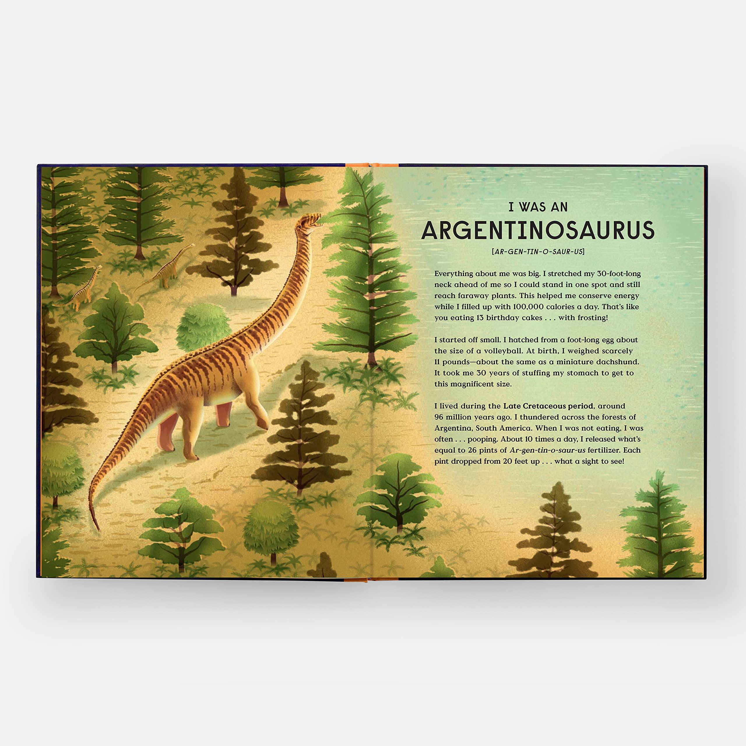Beispielinhalt (Bild) Book of Dinosaurs