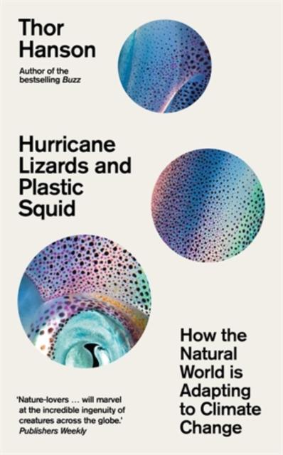 Vorderes Coverbild Hurricane Lizards and Plastic Squid