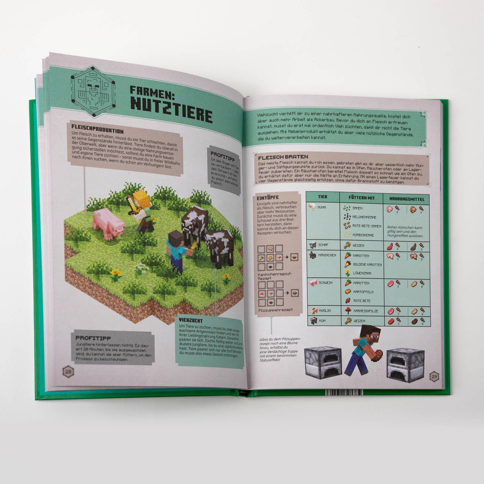 Beispielinhalt (Bild) Minecraft Das Survival-Handbuch