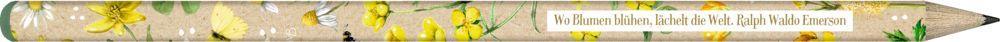 Beispielinhalt (Bild) Bleistift-Set mit Sprüchen
