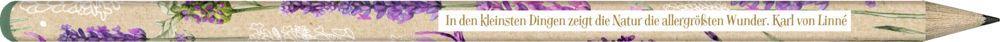 Beispielinhalt (Bild) Bleistift-Set mit Sprüchen