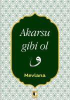 Vorderes Coverbild Akarsu Gibi Ol