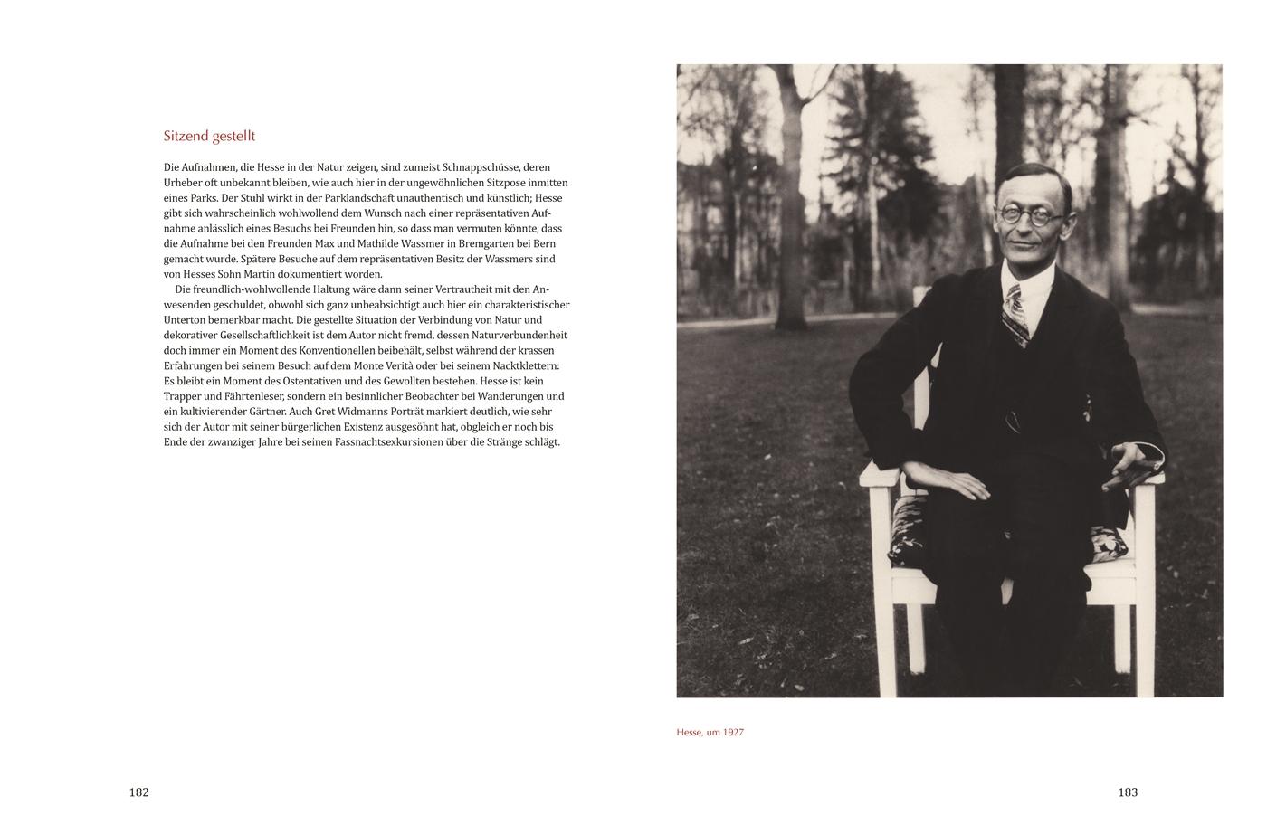Beispielinhalt (Bild) Hermann Hesse