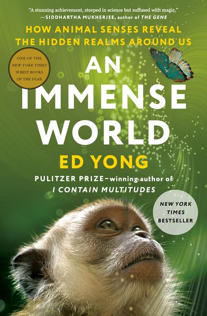 Vorderes Coverbild An Immense World