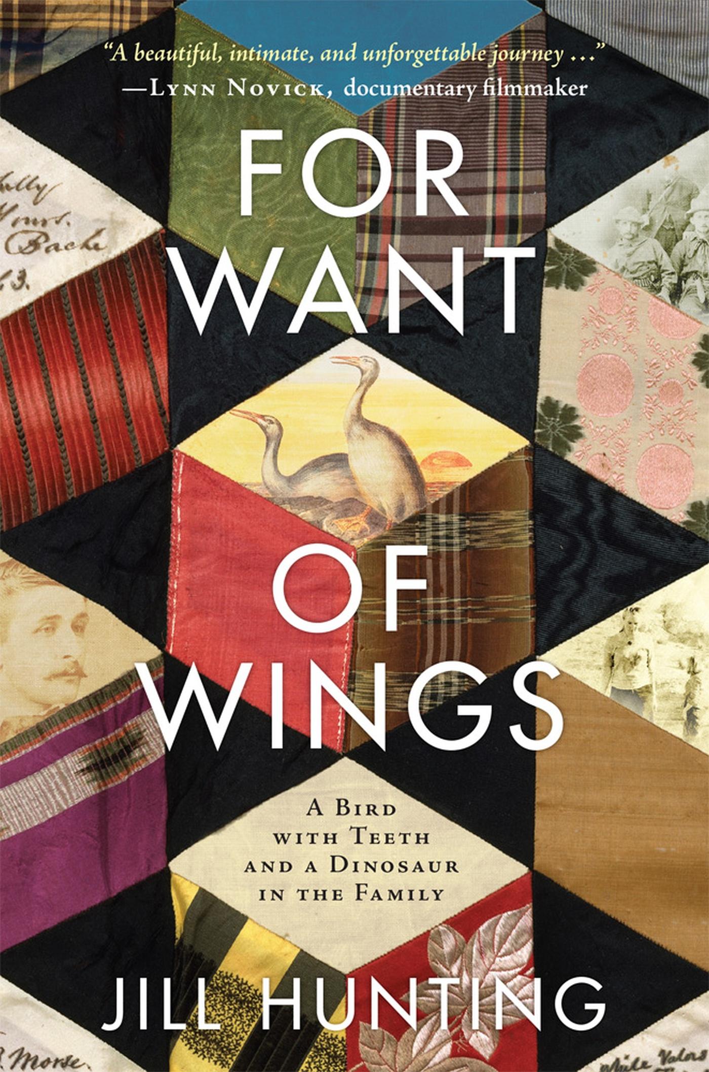 Vorderes Coverbild For Want of Wings: A Bird with Teeth and a Dinosaur in the Family