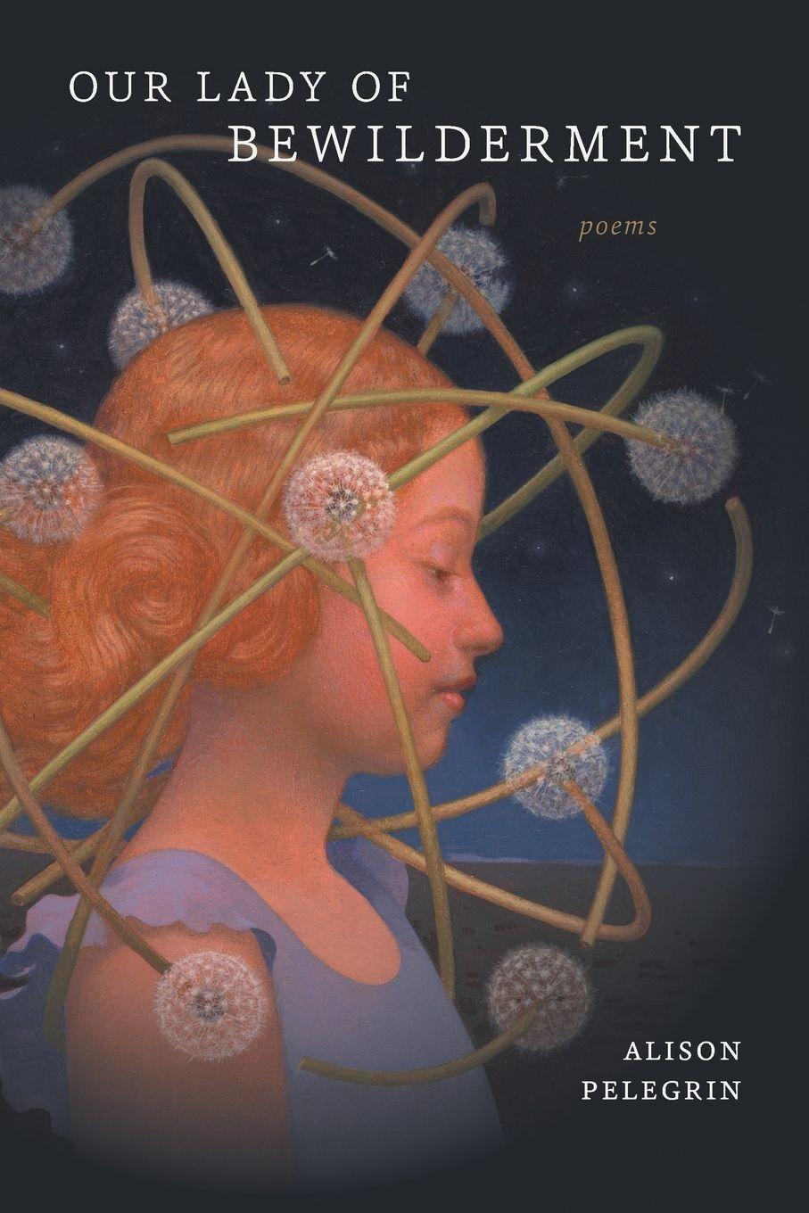 Vorderes Coverbild Our Lady of Bewilderment