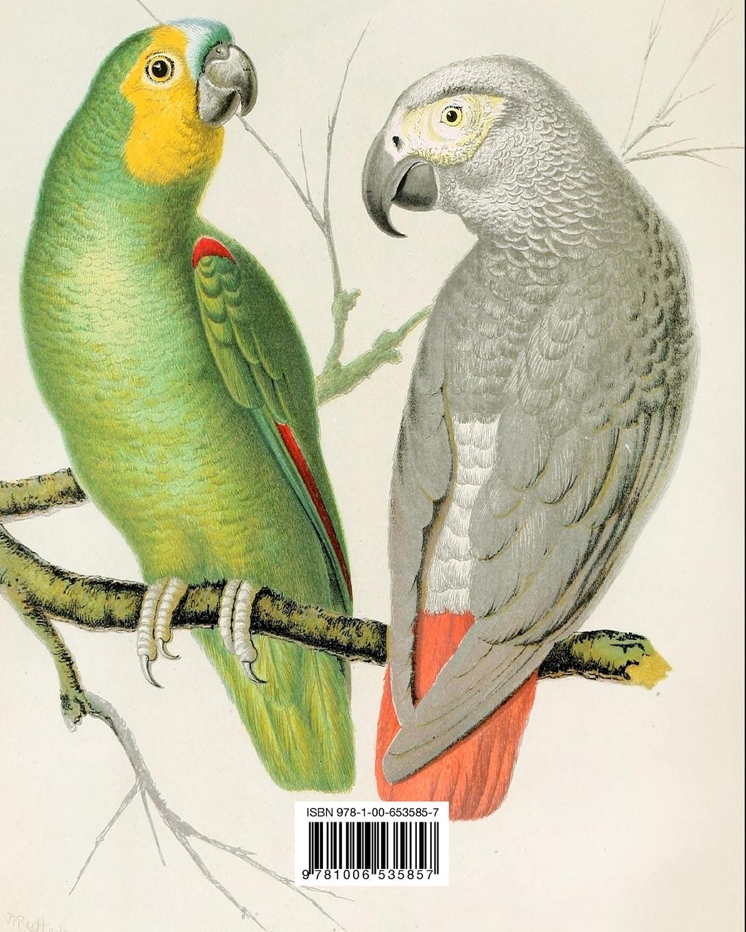 Rückseitencover Vintage Art