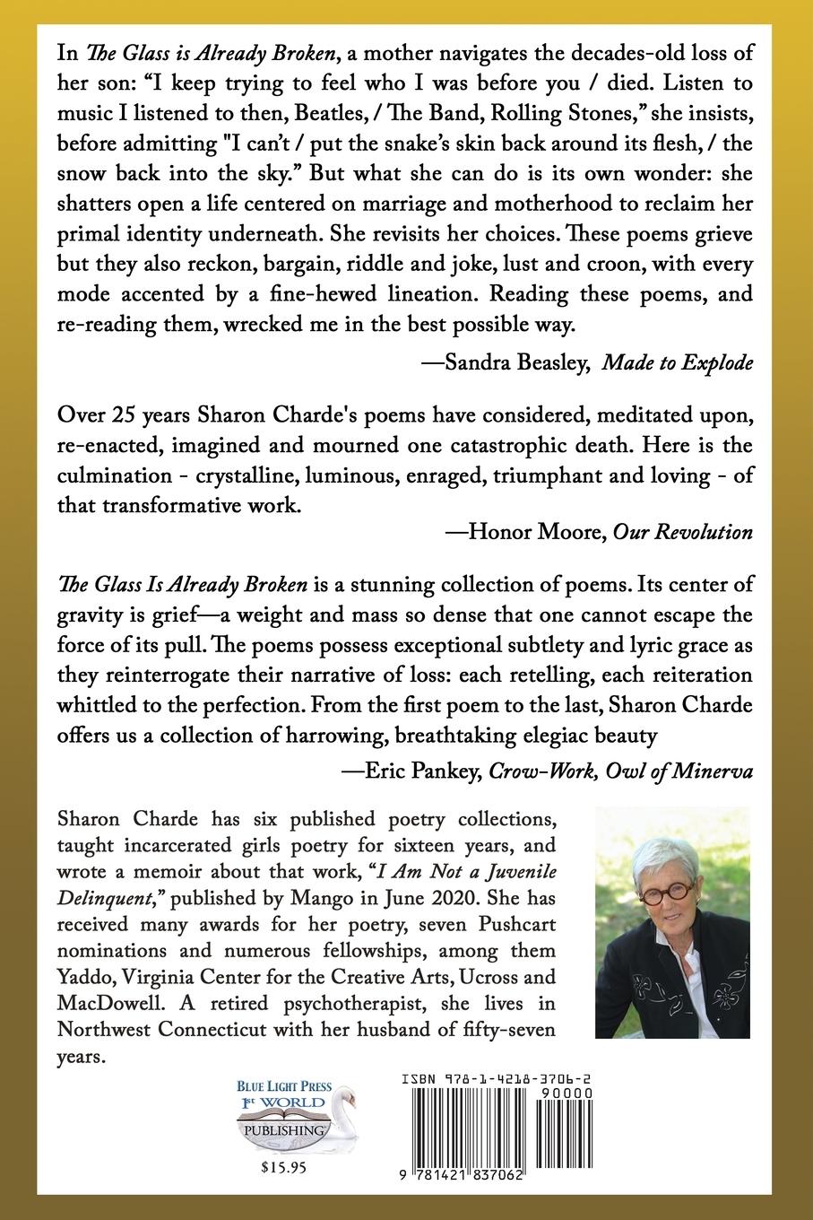 Rückseitencover The Glass Is Already Broken