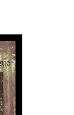 Vorderes Coverbild The Iroquois League