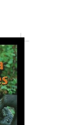 Vorderes Coverbild Gorilla Families