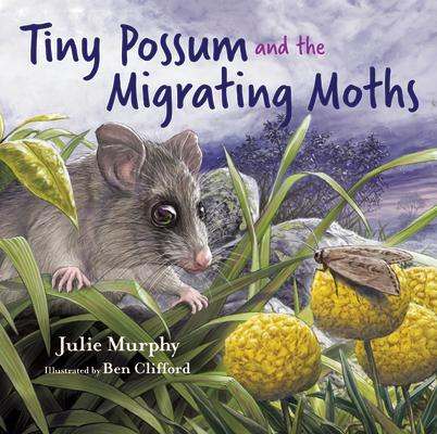Vorderes Coverbild Tiny Possum and the Migrating Moths
