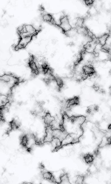 Vorderes Coverbild White Rock (Blank Lined Journal)