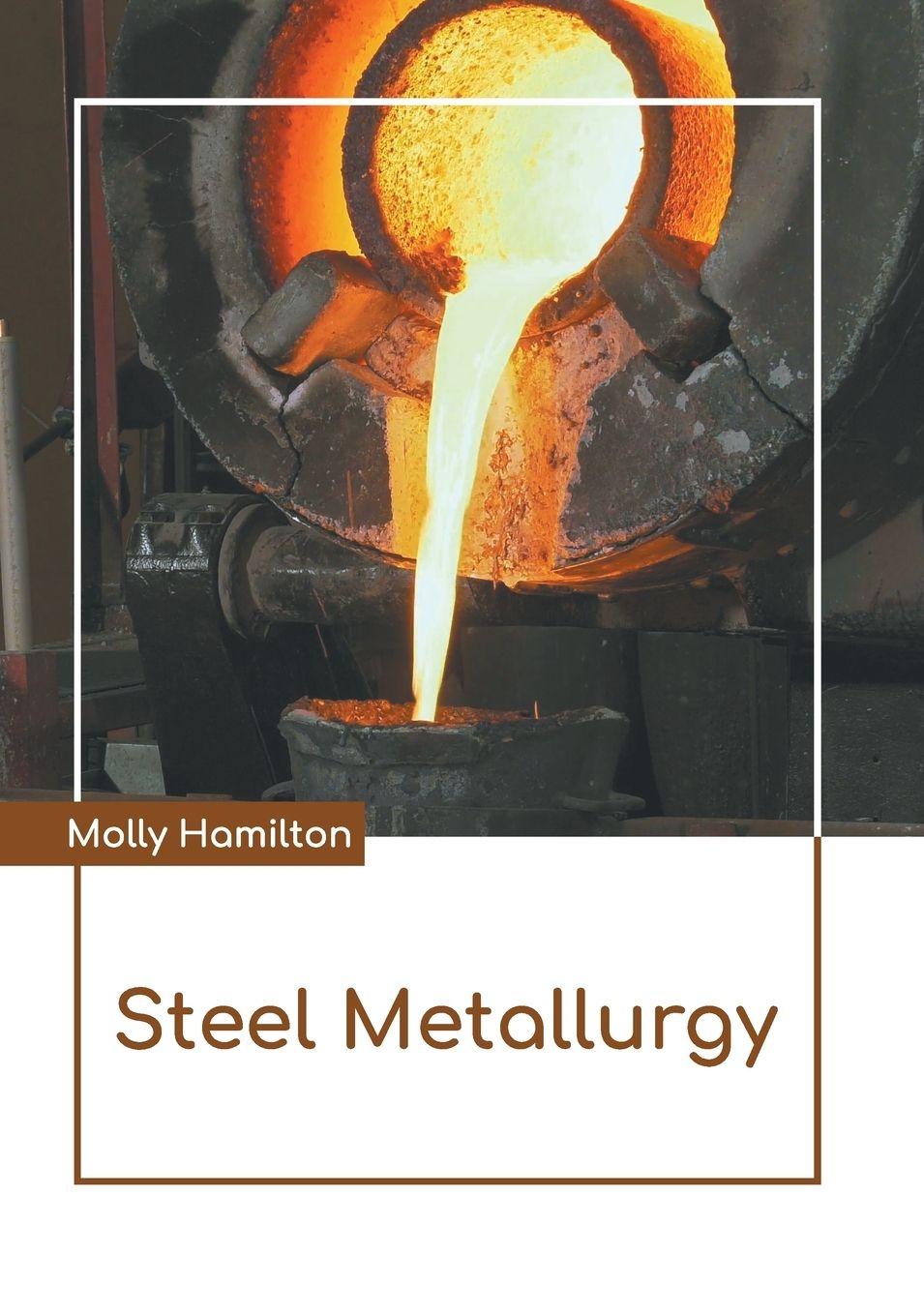 Vorderes Coverbild Steel Metallurgy