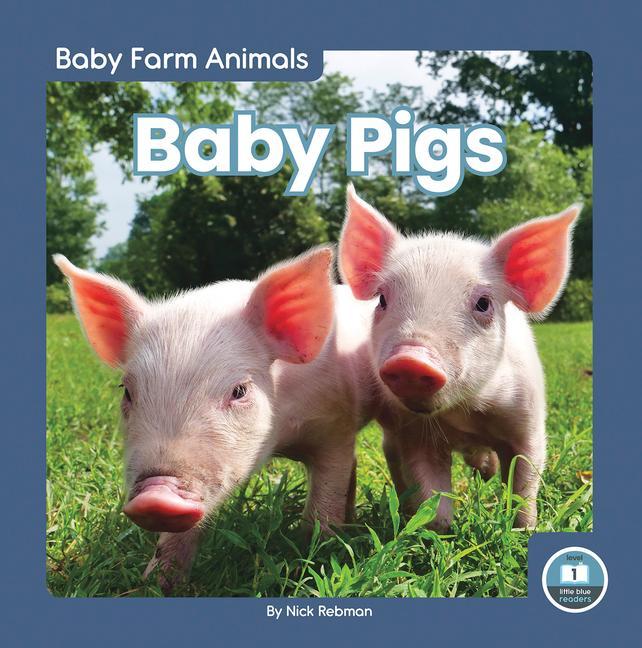 Vorderes Coverbild Baby Pigs