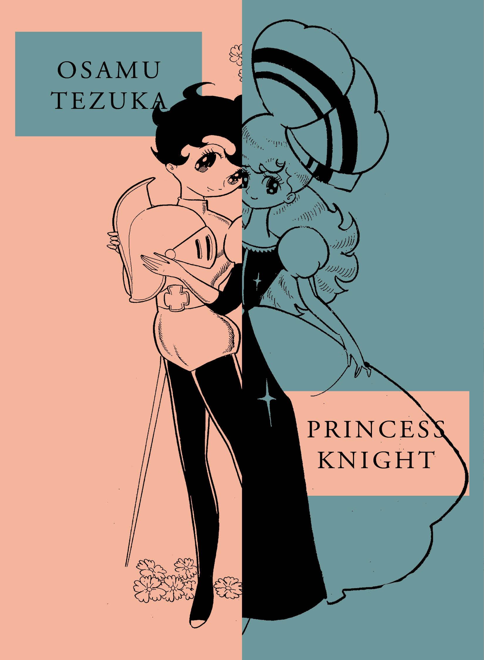 Vorderes Coverbild Princess Knight