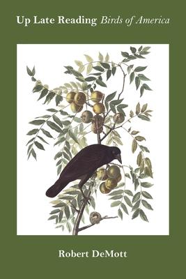 Vorderes Coverbild Up Late Reading Birds of America