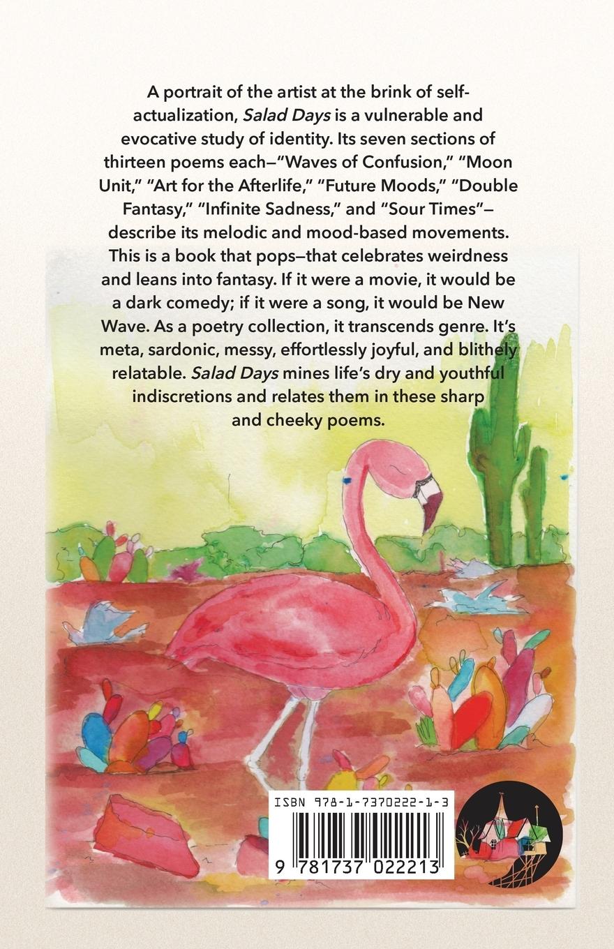 Rückseitencover Salad Days