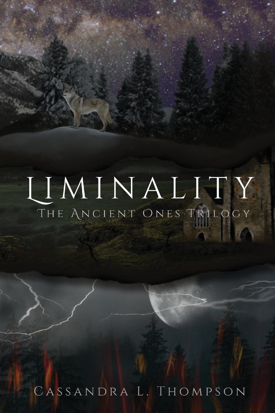 Vorderes Coverbild Liminality
