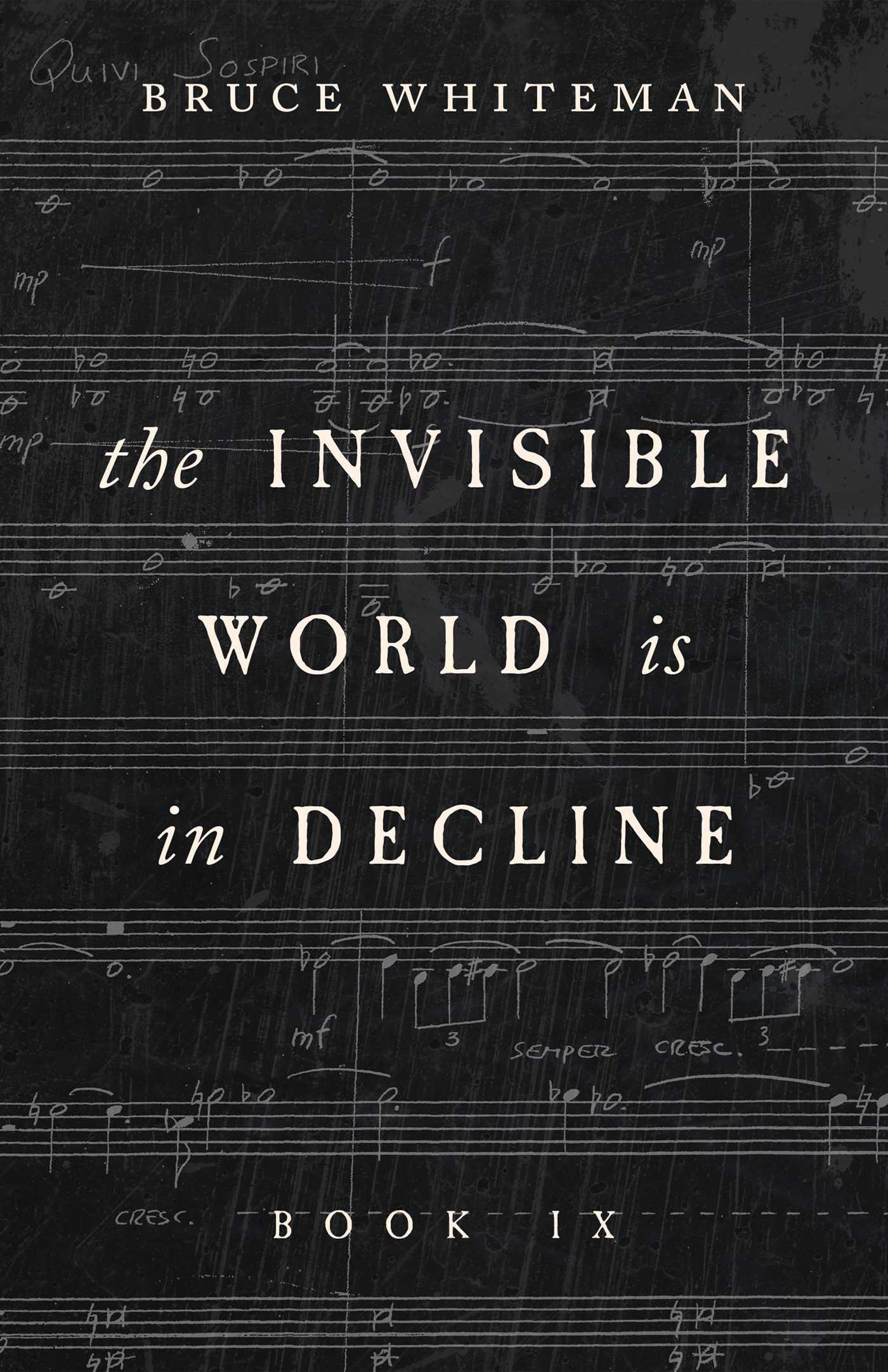 Vorderes Coverbild The Invisible World Is in Decline Book IX