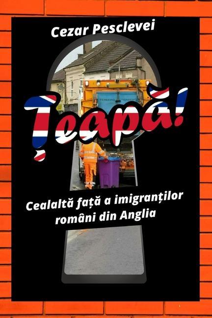 Vorderes Coverbild Țeapă! Cealaltă față a imigranților români din Anglia