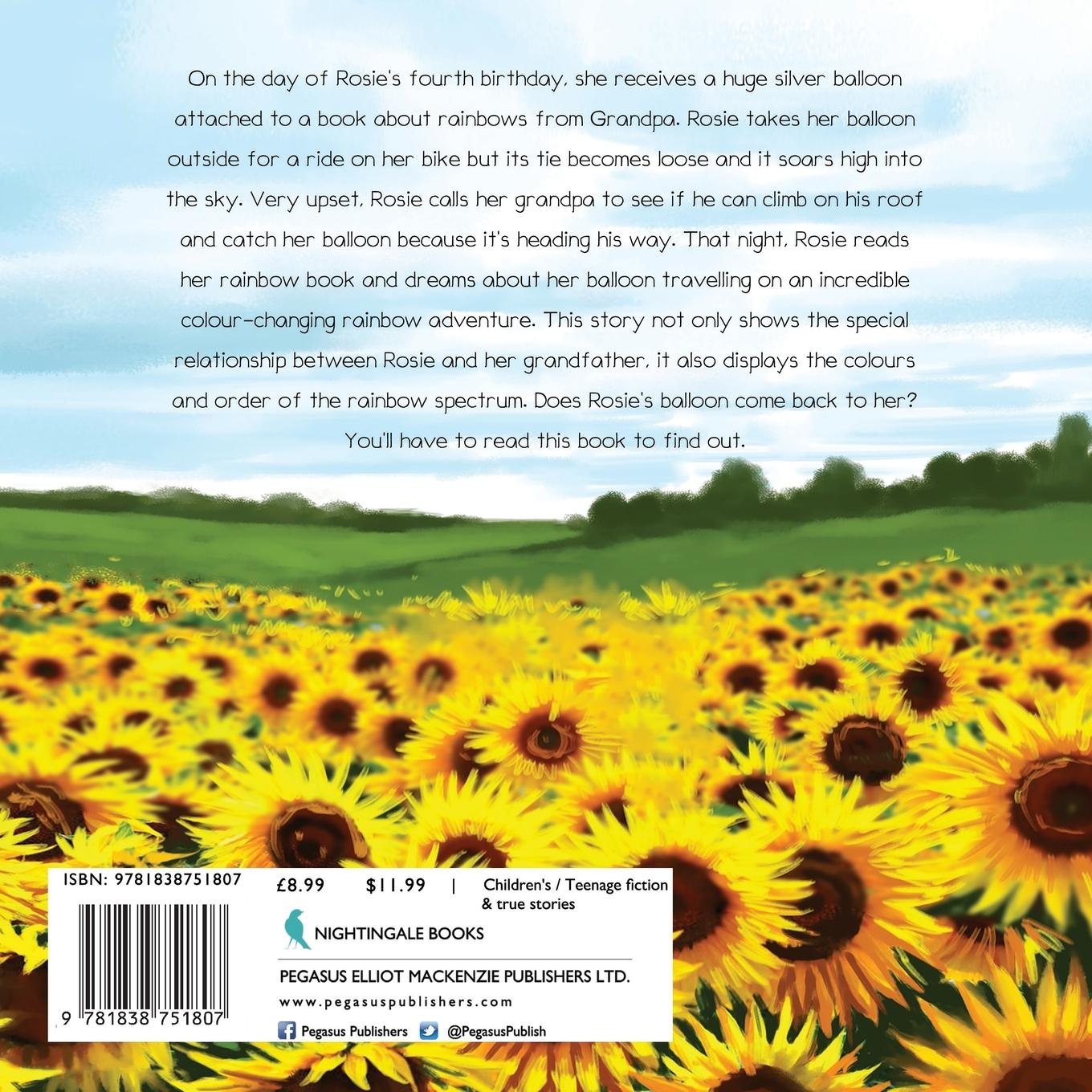 Rückseitencover Birthday Balloon