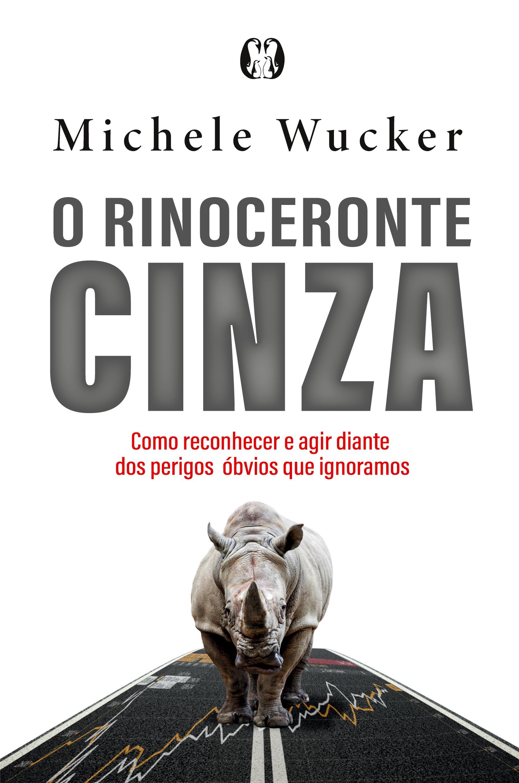 Vorderes Coverbild O rinoceronte cinza