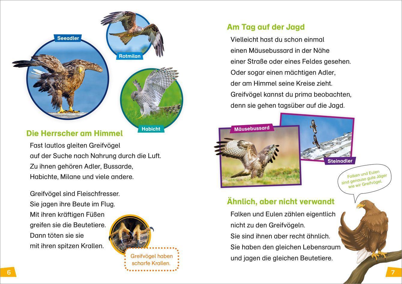 Beispielinhalt (Bild) WAS IST WAS Erstes Lesen Band 18. Greifvögel