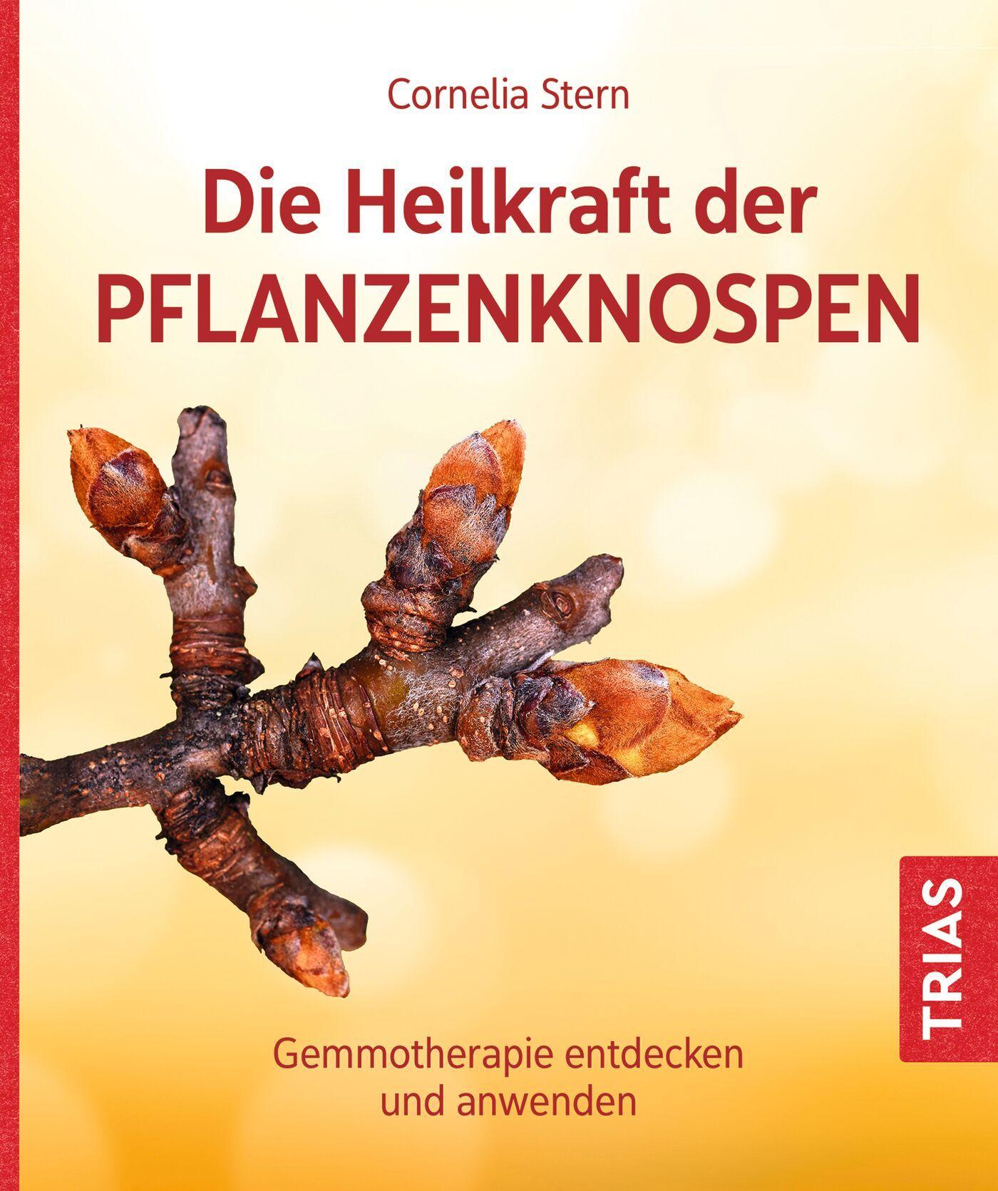 Vorderes Coverbild Die Heilkraft der Pflanzenknospen