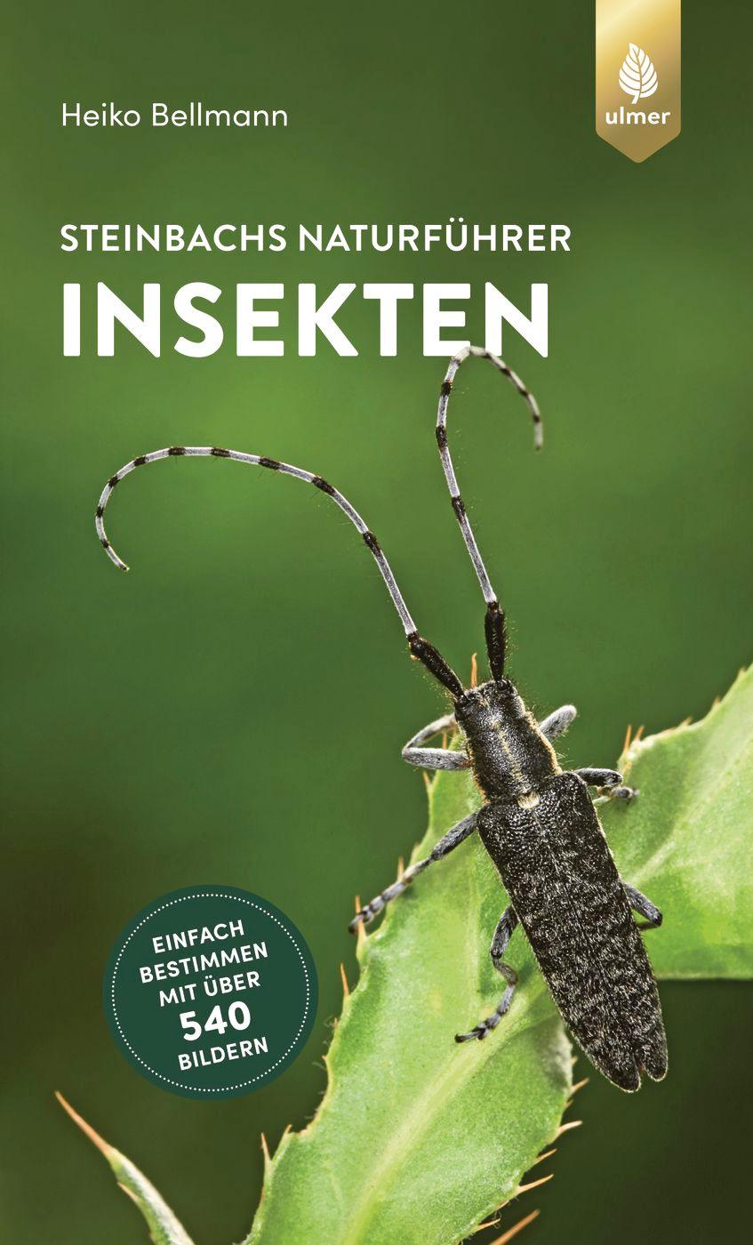Vorderes Coverbild Steinbachs Naturführer Insekten