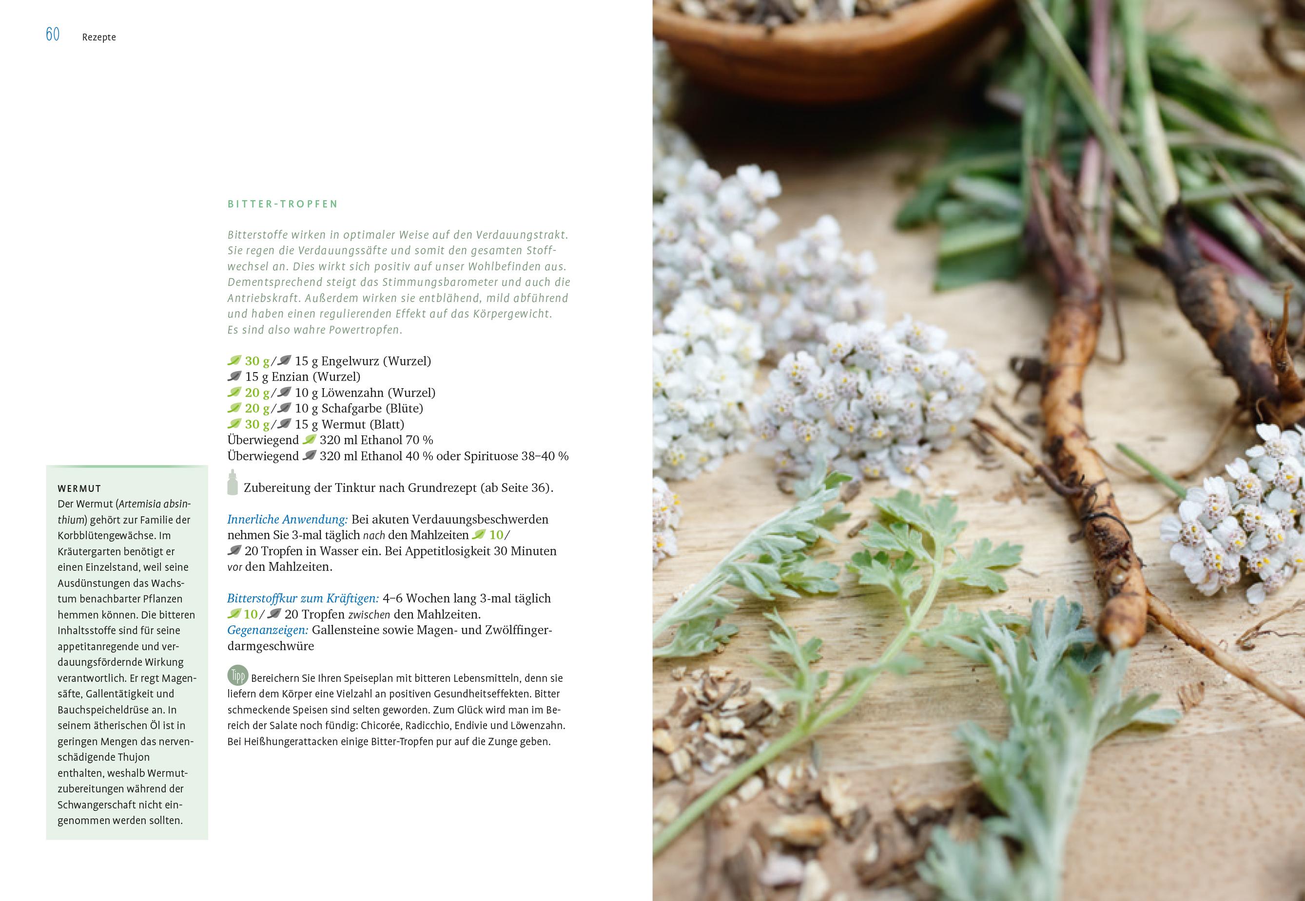 Beispielinhalt (Bild) Heilpflanzen-Tinkturen