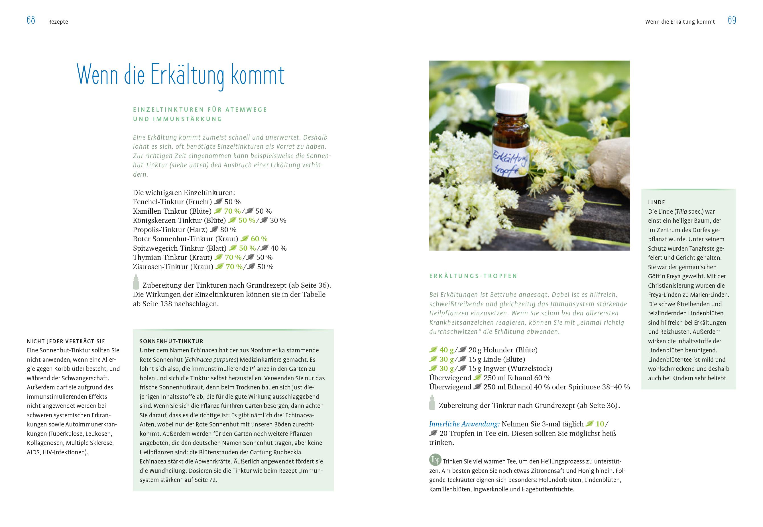 Beispielinhalt (Bild) Heilpflanzen-Tinkturen