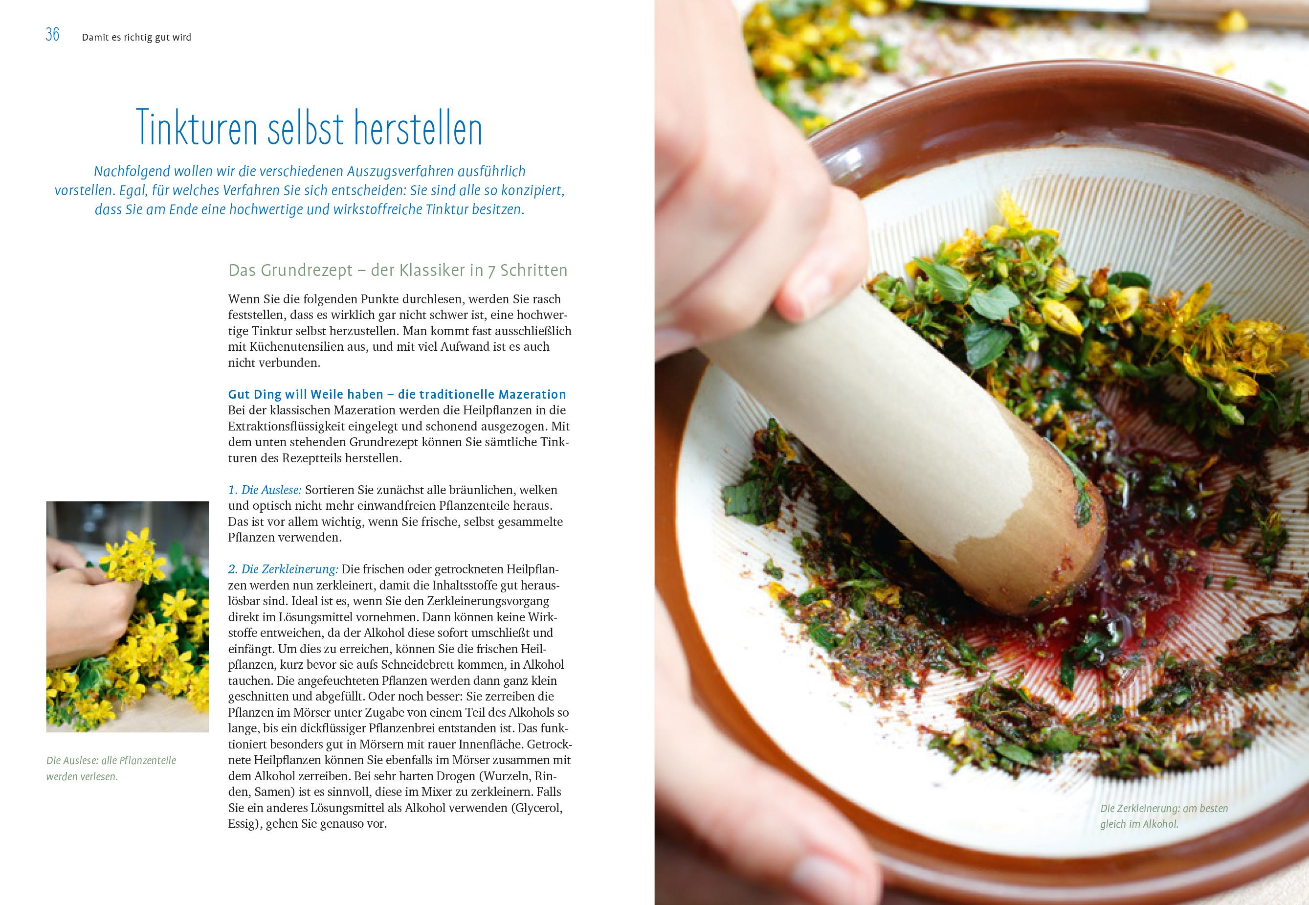 Beispielinhalt (Bild) Heilpflanzen-Tinkturen