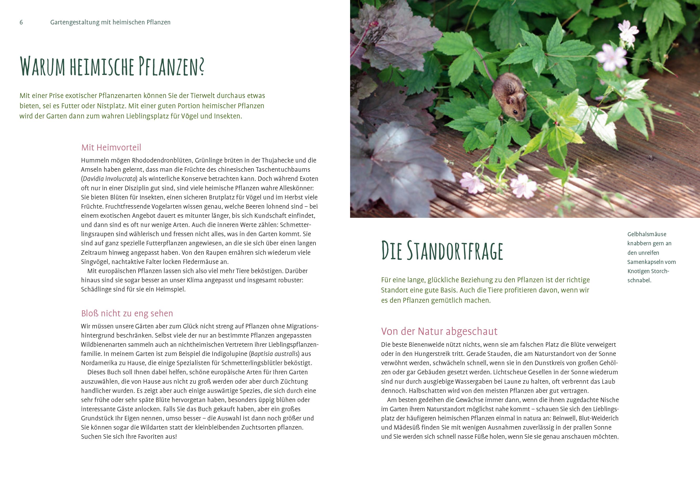 Beispielinhalt (Bild) Heimische Pflanzen für den Garten