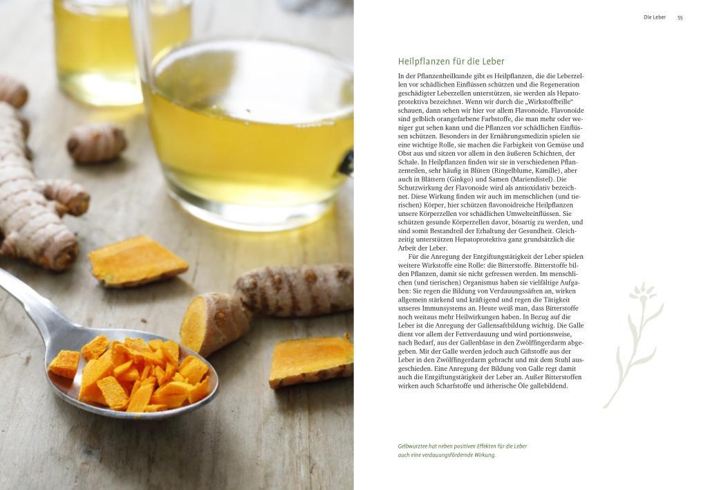 Beispielinhalt (Bild) Entgiften mit Heilpflanzen