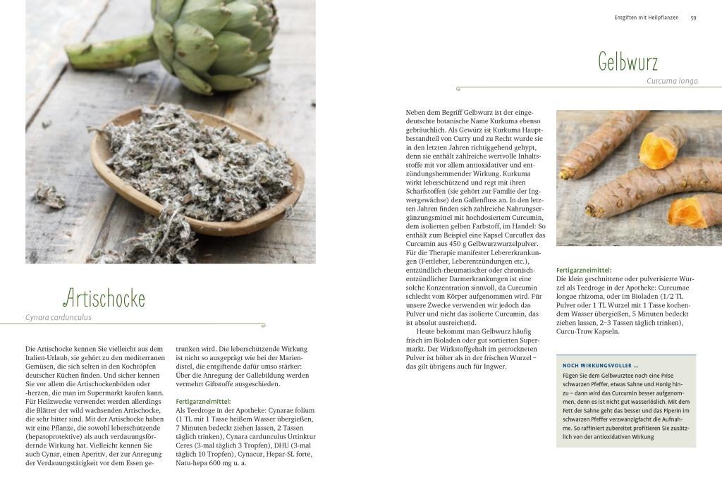 Beispielinhalt (Bild) Entgiften mit Heilpflanzen
