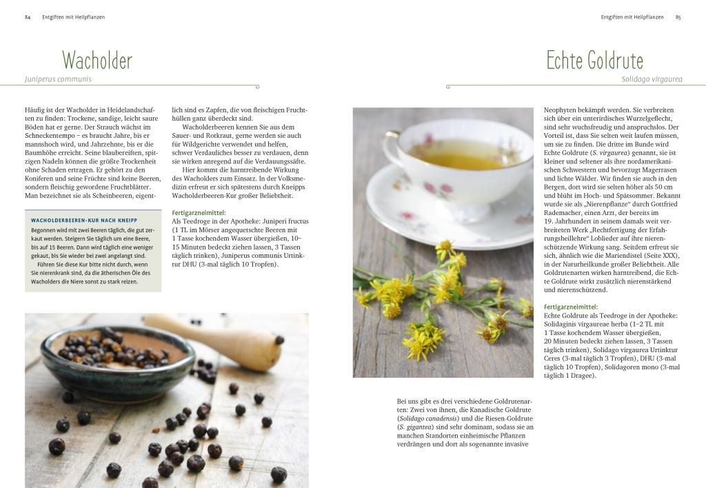 Beispielinhalt (Bild) Entgiften mit Heilpflanzen