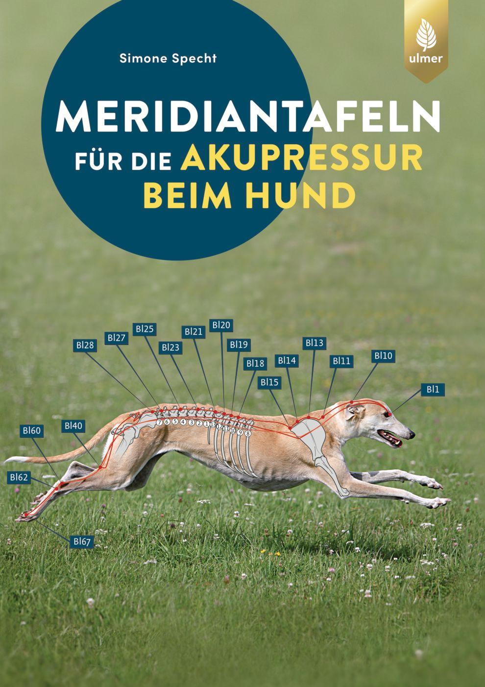 Vorderes Coverbild Meridiantafeln für die Akupressur beim Hund