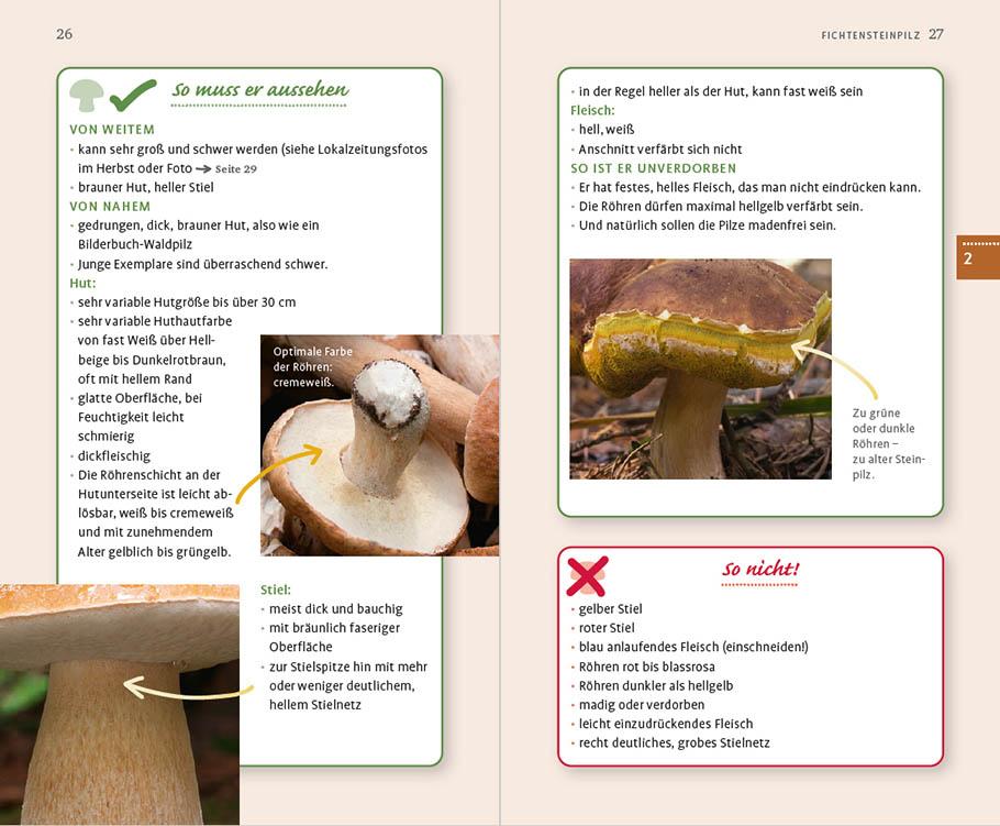 Beispielinhalt (Bild) 10 Pilze