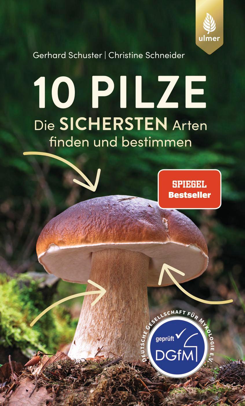 Vorderes Coverbild 10 Pilze