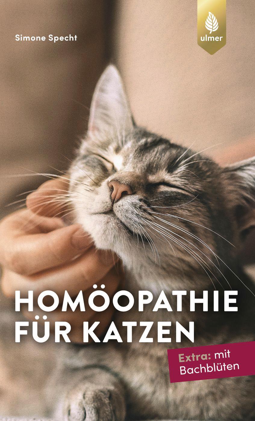 Vorderes Coverbild Homöopathie für Katzen